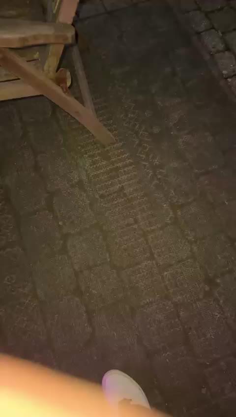 💨🍀🍈Fresca Melon Outdoor