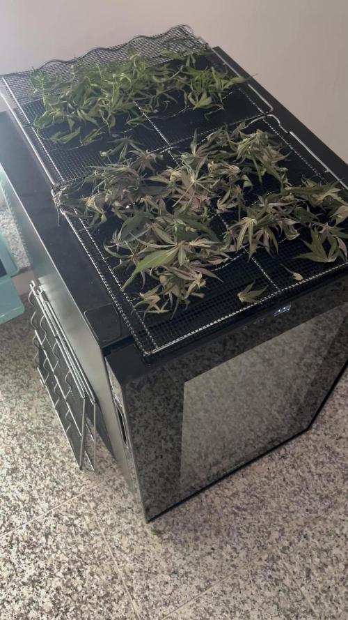 💨🍀Permanent Marker Clone #1