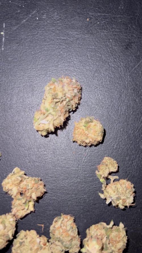 ๐จ๐๐Fresca Melon Clone #2