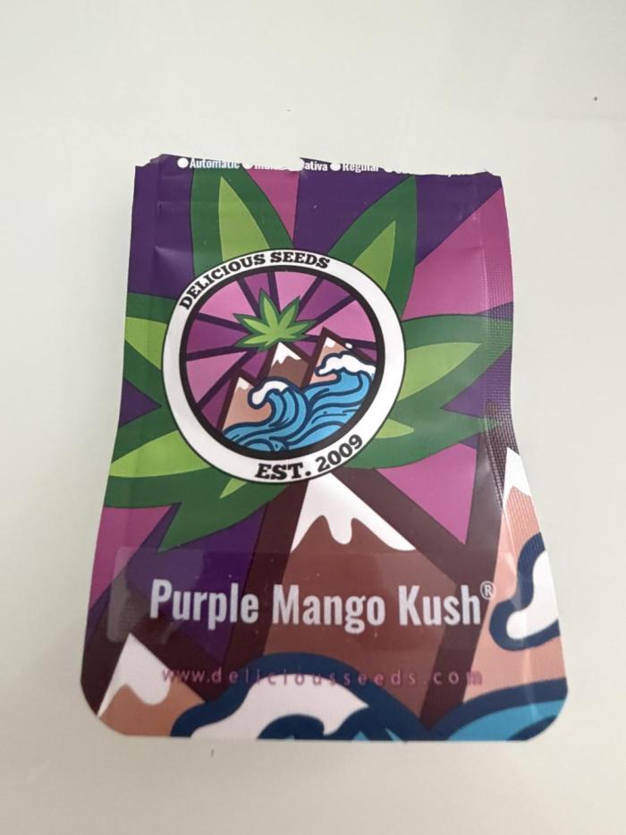Purple Mango Kush. Week 0