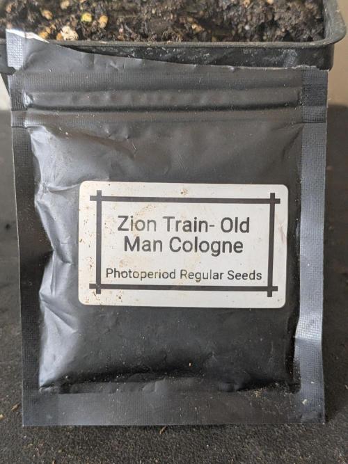 Zion train old man cologne/lime sneakers. Week 7