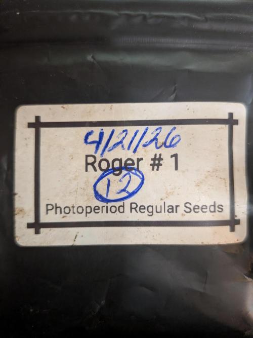 Roger X Series: Finding Cannabranium. Week 0 - Roger #1 (also known as Stanky Zion Train) is a sativa-dominant polyhybrid 