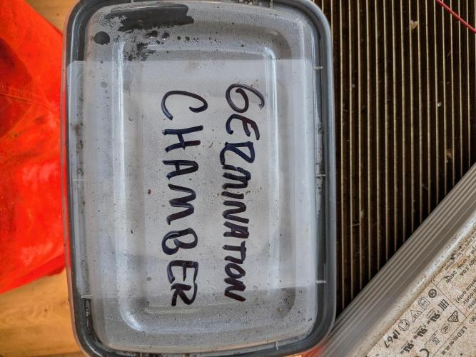 Roger #1 Series: Finding Cannabranium. Week 0