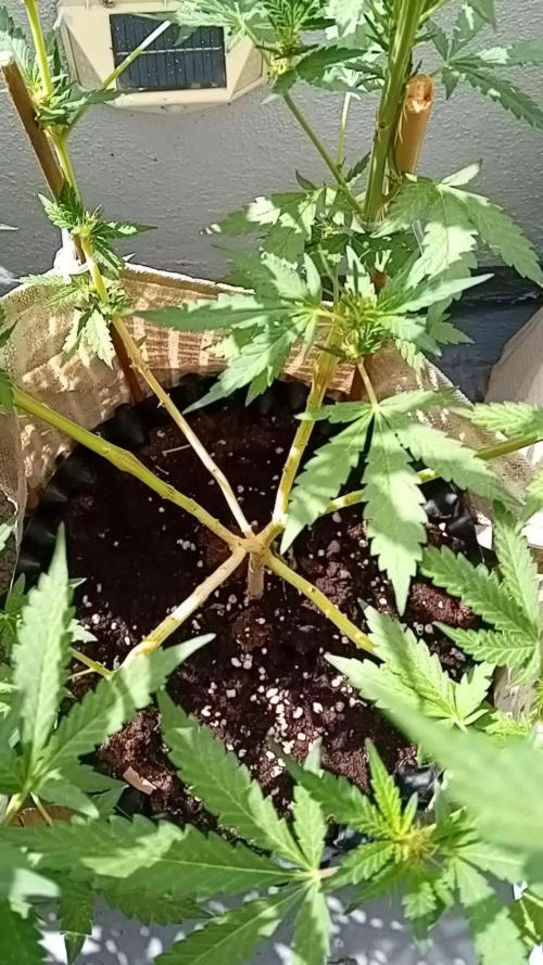 My OutDoor Ladies