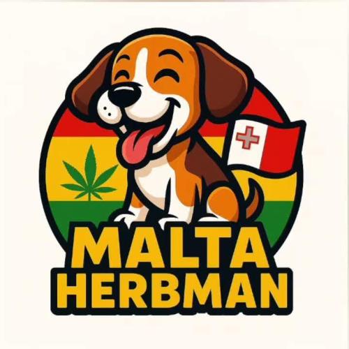 Dank Berry Anesia Seeda