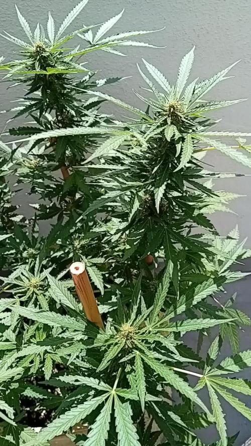 My OutDoor Ladies