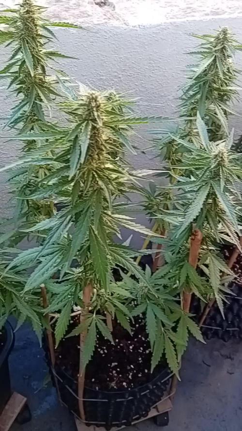 My OutDoor Ladies