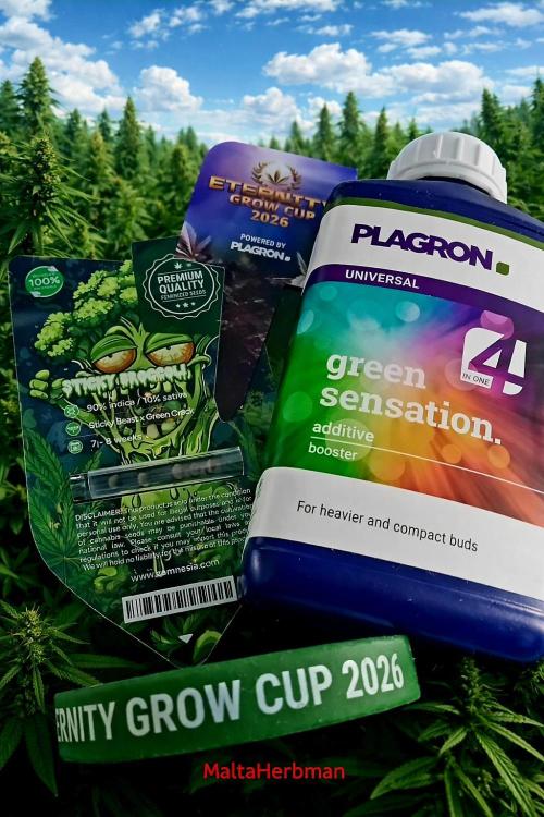 Eternity Grow Cup 2026 Zamnesia/Plagron. Week 0