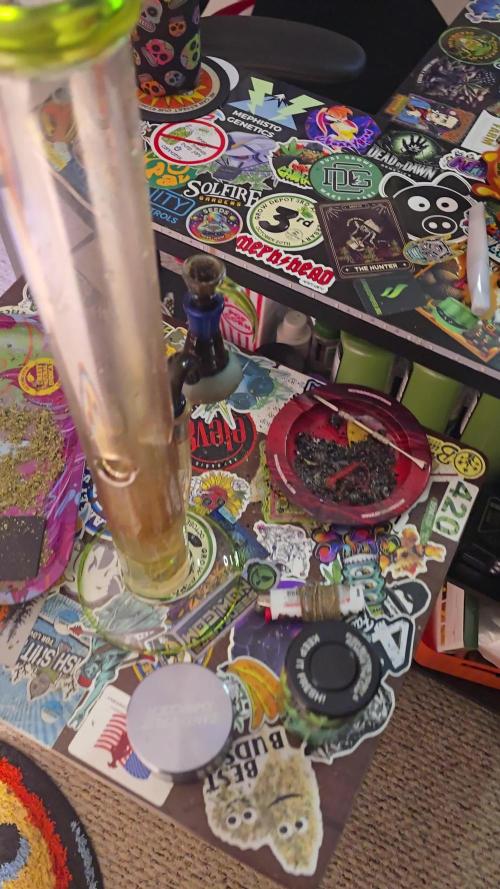 Dead By Dawn Genetics