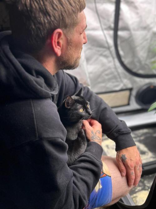 Dead By Dawn Genetics. Week 10