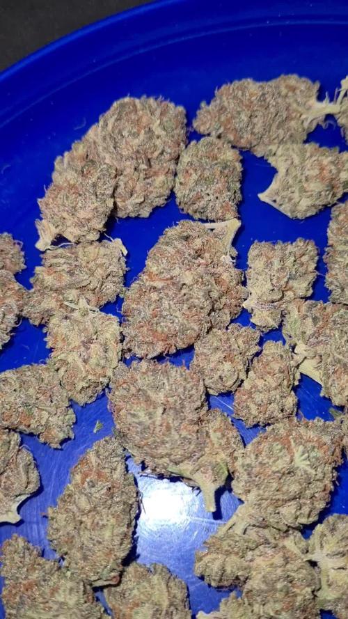 White Widow | Green House Seed Co.