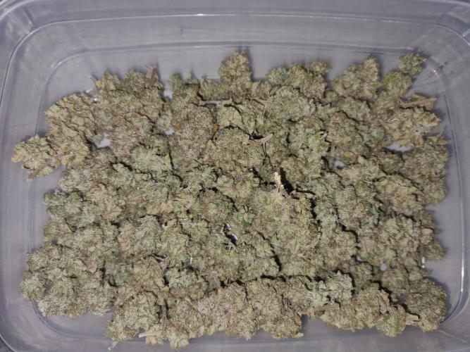 White Widow | Green House Seed Co.. Week 23 - #1 Trimmed Buds