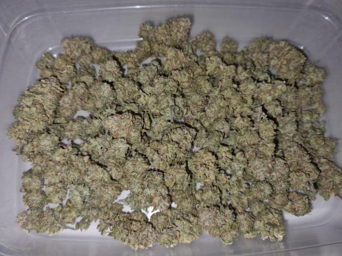 White Widow | Green House Seed Co.. Week 23 - #2 Trimmed Buds