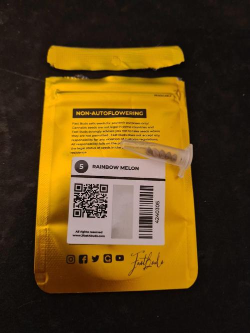 Rainbow Melon | Fast Buds. Week 0 - Seeds