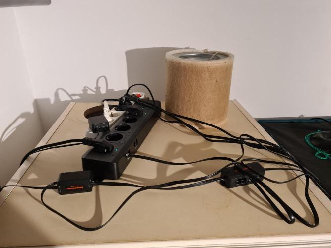 Tarte Tatin | Greenhouse Seeds Co.. Week 3 - 28-11 New stuff