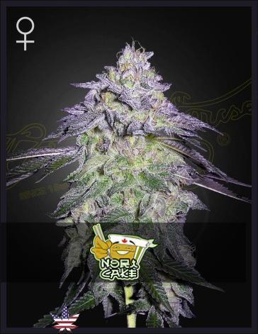 Nori Cake | Green House Seed Co.. Week 3 - Placeholder