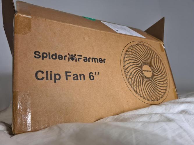 Rainbow Melon | Fast Buds. Week 3 - 28-11 New Stuff