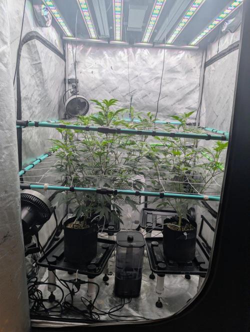 New Girls!. Week 1 - D1
