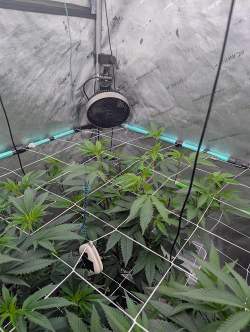 New Girls!. Week 1 - D1