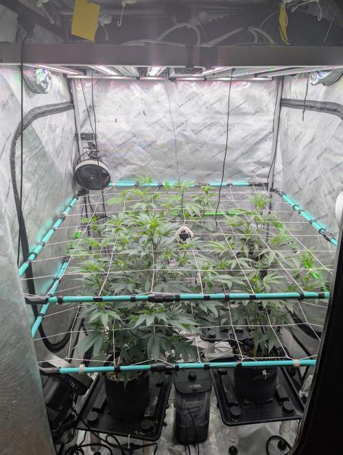 New Girls!. Week 1 - D1