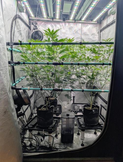 New Girls!. Week 1 - D7