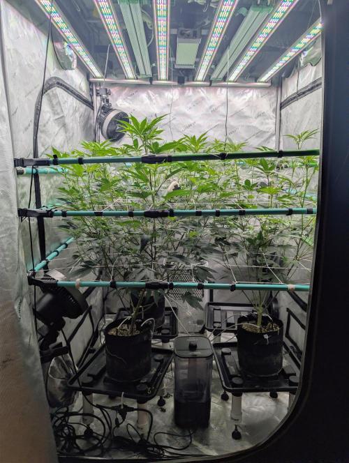 New Girls!. Week 1 - D7