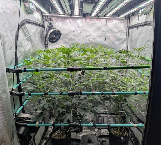 New Girls!. Week 1 - D7