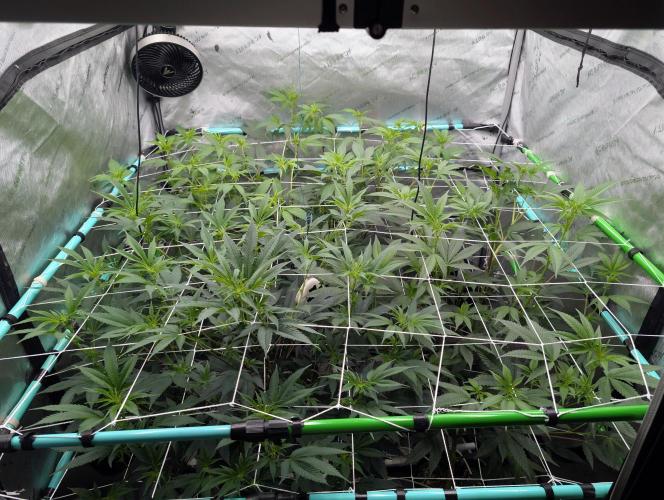 New Girls!. Week 1 - D7