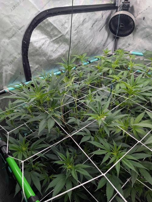 New Girls!. Week 1 - D7