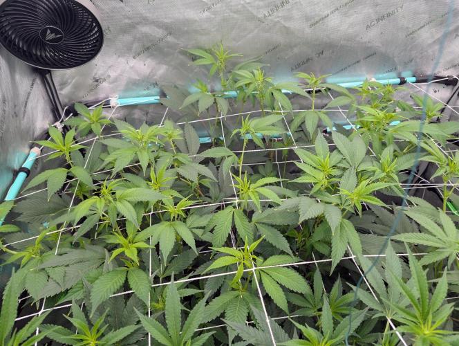 New Girls!. Week 1 - D7