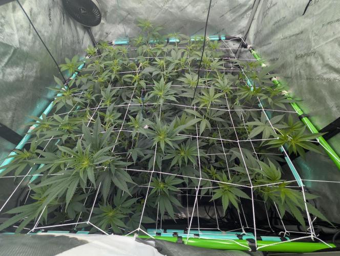 New Girls!. Week 1 - D7