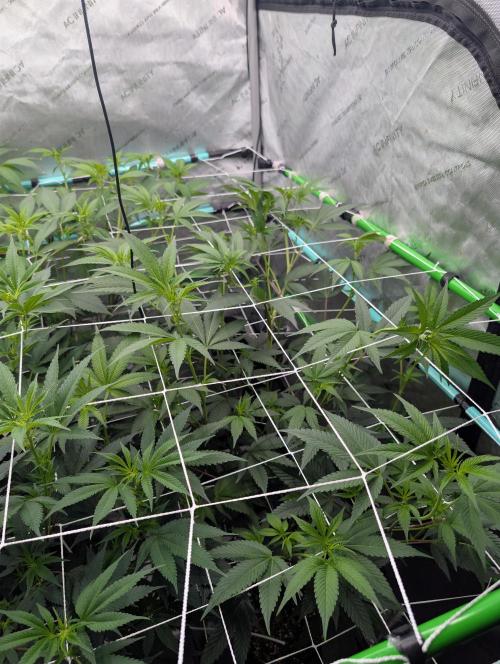 New Girls!. Week 1 - D7