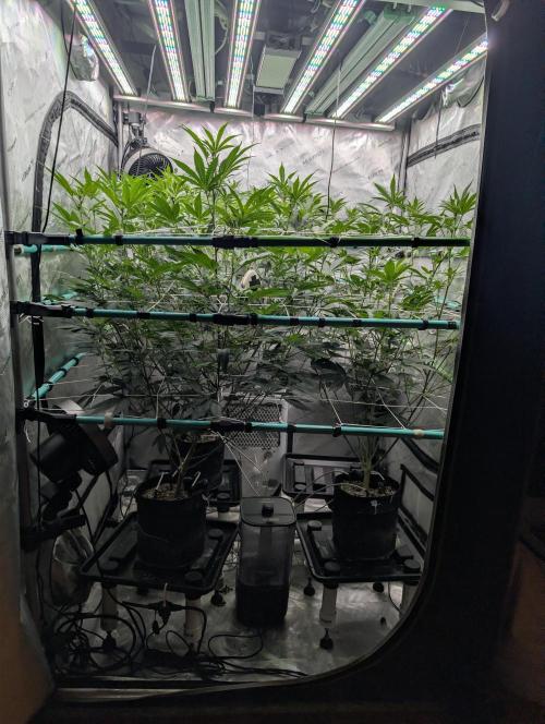 New Girls!. Week 2 - D10