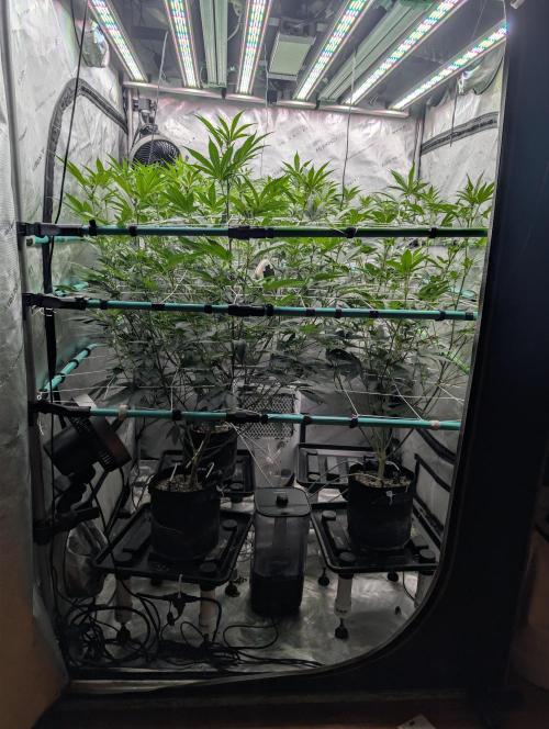 New Girls!. Week 2 - D10
