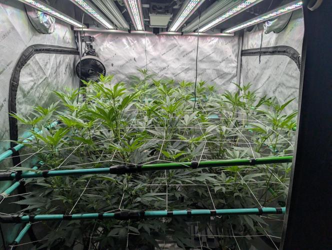 New Girls!. Week 2 - D10