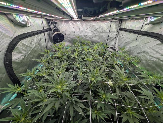 New Girls!. Week 2 - D10