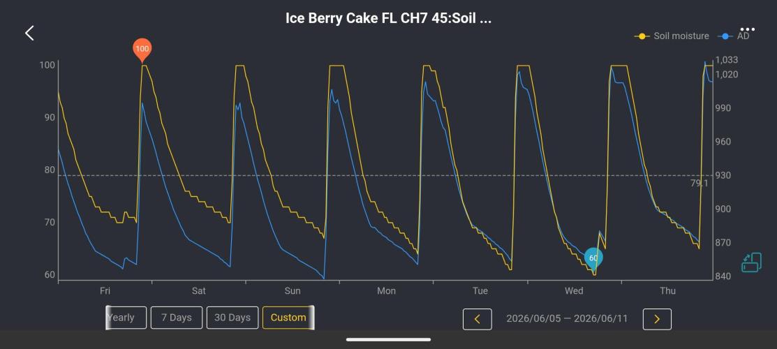 New Girls!. Week 1 - IBC Drybacks
