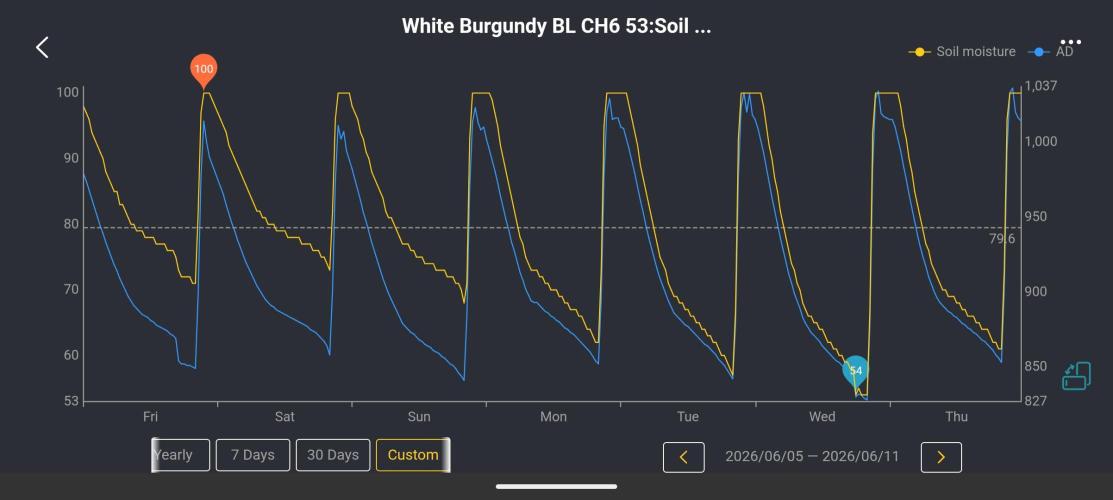 New Girls!. Week 1 - WB Drybacks