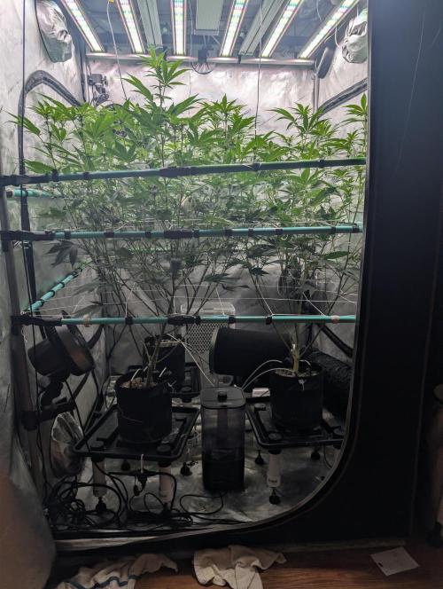 New Girls!. Week 2 - D14