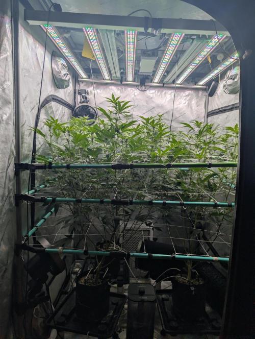 New Girls!. Week 2 - D14