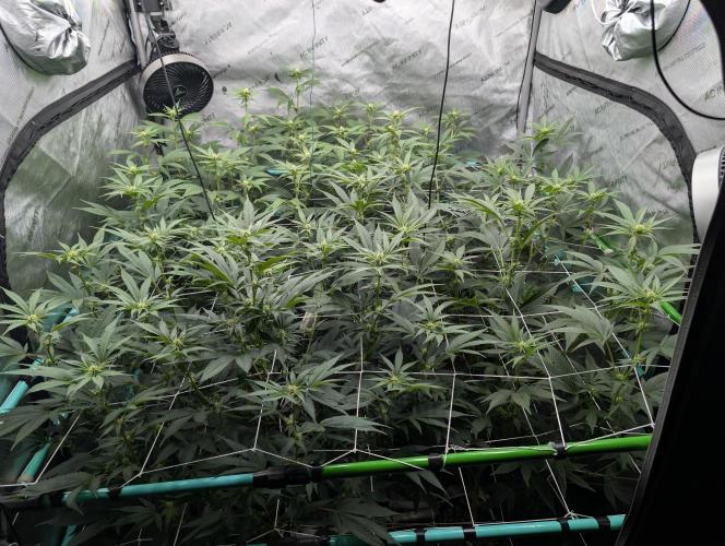 New Girls!. Week 2 - D14