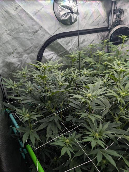 New Girls!. Week 2 - D14