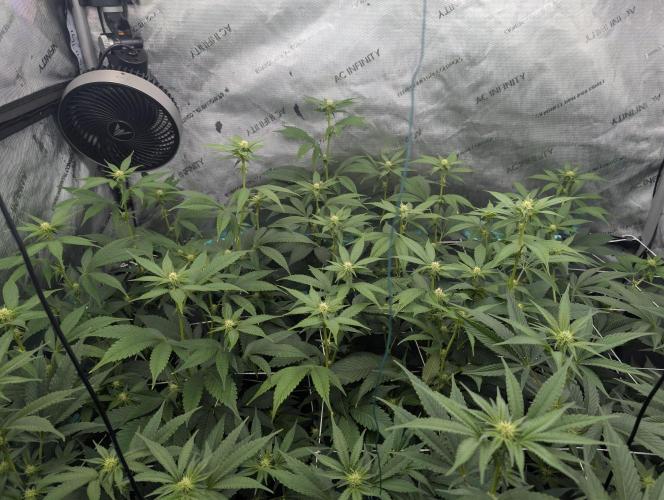 New Girls!. Week 2 - D14