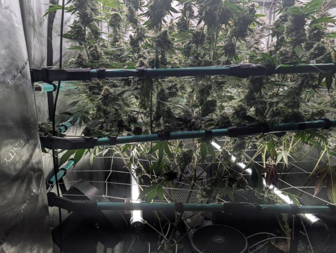 New Girls!. Week 9