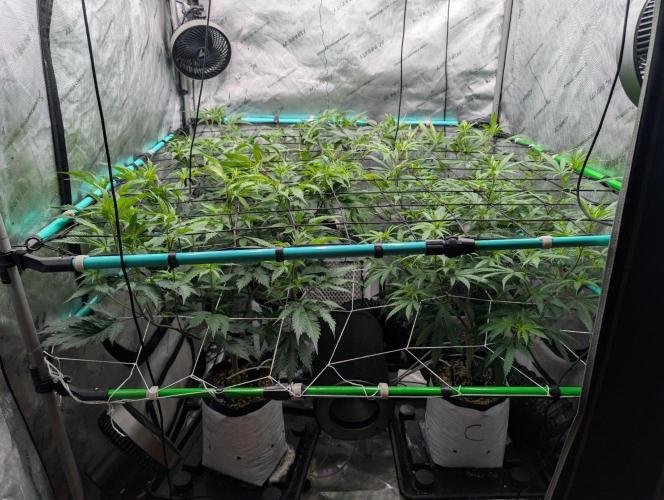 More.... Week 1 - D7