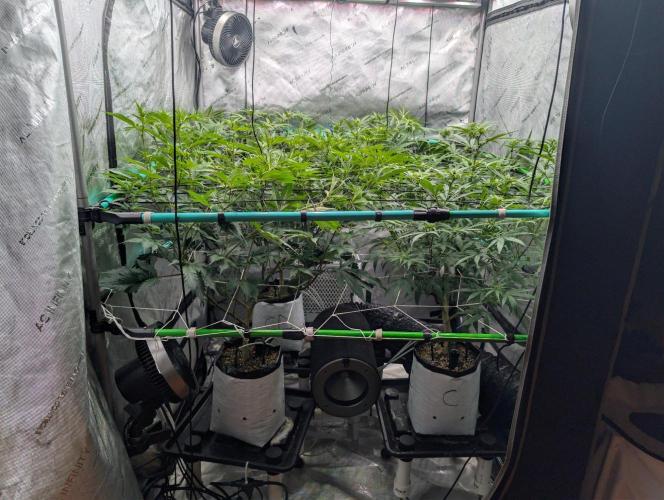 More.... Week 2 - D14