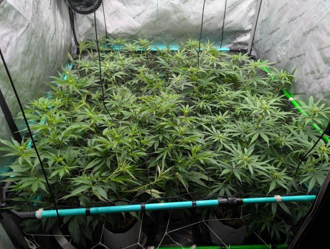 More.... Week 2 - D14