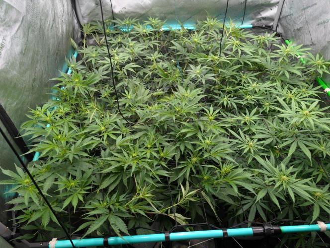 More.... Week 2 - D14