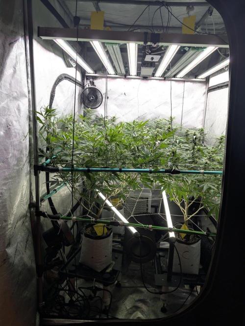 More.... Week 3 - D21