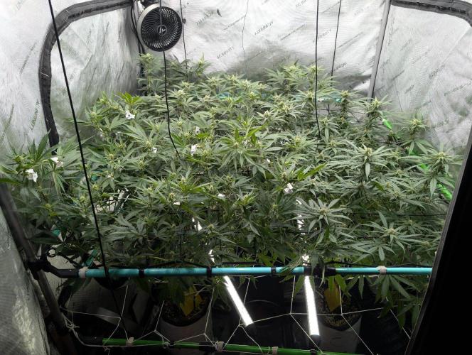 More.... Week 3 - D21